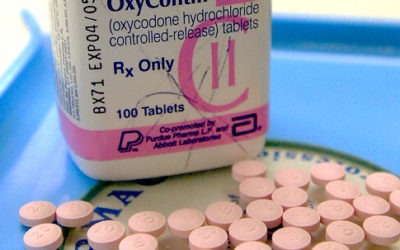 Oxycodone vs. OxyContin: What is the Difference?