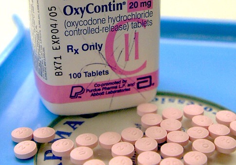 Oxycodone vs. OxyContin: What is the Difference?