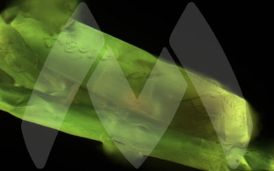 Ibogaine Research and Initial Isolation