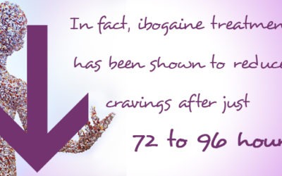 The 3 Best Tips for Adjusting to Life After Ibogaine Treatment
