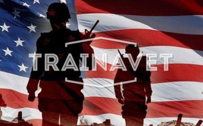 Ibogaine Treatment for Veterans