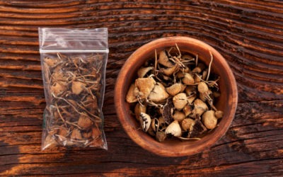 Magic Mushrooms Decriminalized in Oakland