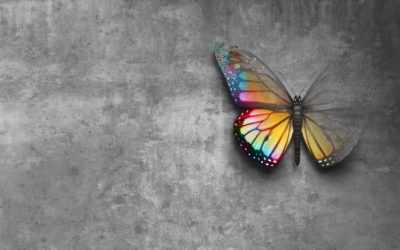 Optimism in Recovery