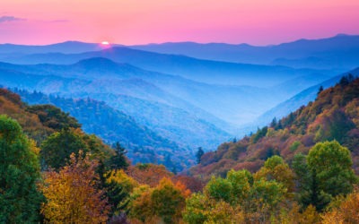 Culture of Recovery in Appalachia